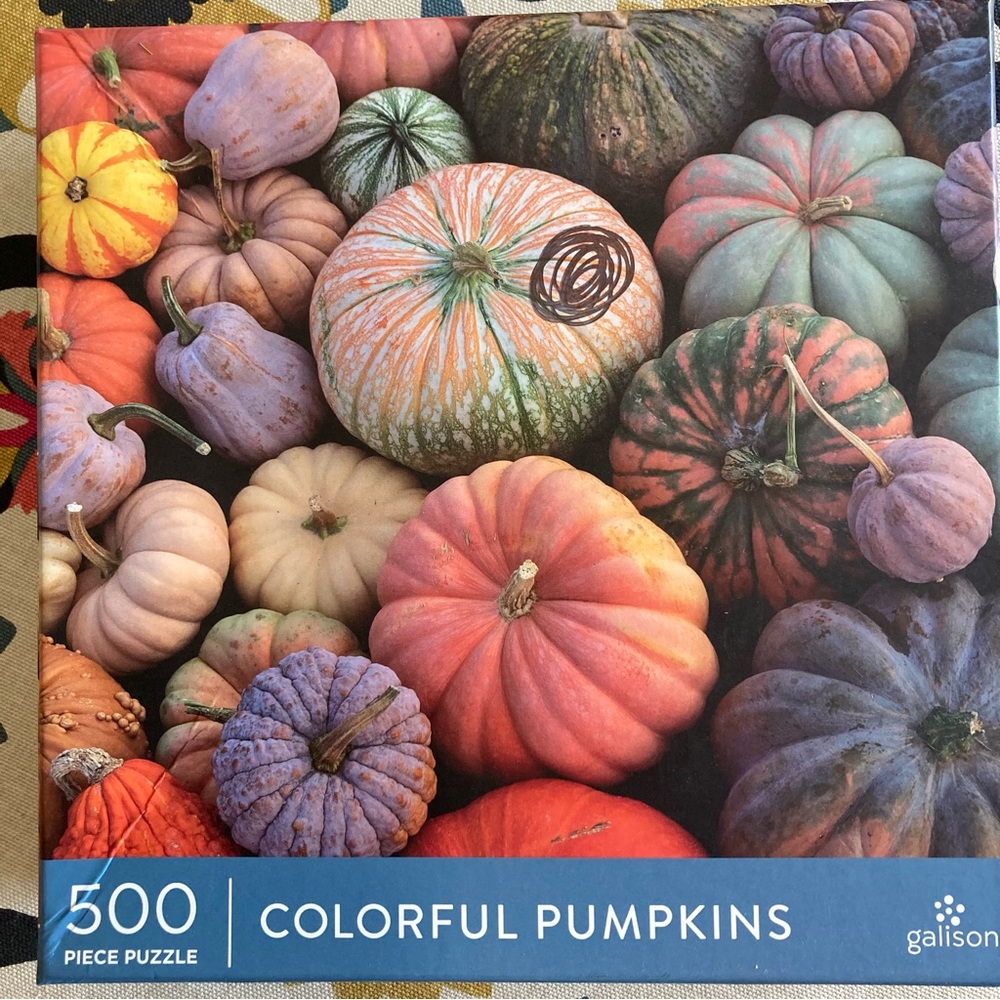500 piece jigsaw puzzle Colorful Pumpkins Fall Autumn